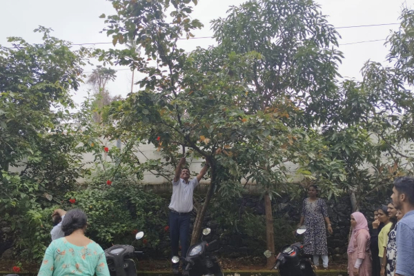Make Life Clean